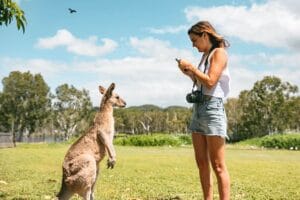 Australian Wildlife Backpackers Guide