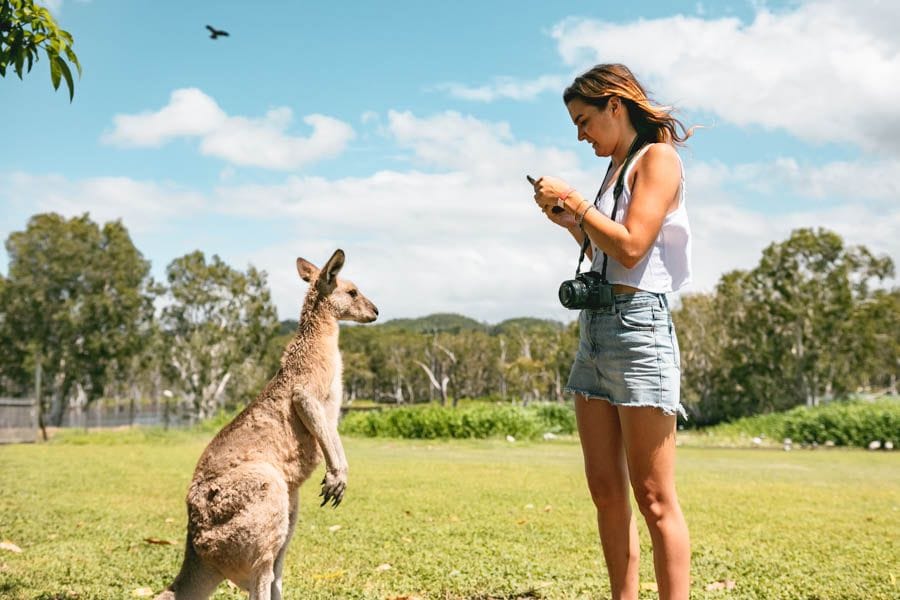 Australian Wildlife Backpackers Guide