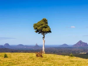 Off-Peak Season Backpacking Australia